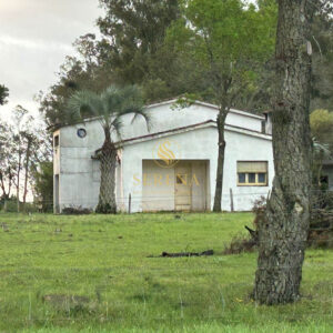Chacra en José Pedro Varela