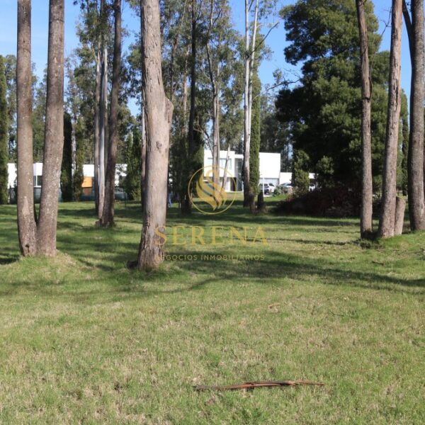 Terreno en Cumbres de Carrasco 1684m² - Imagen 2