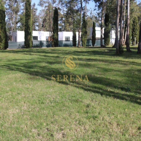 Terreno en Cumbres de Carrasco 1684m²