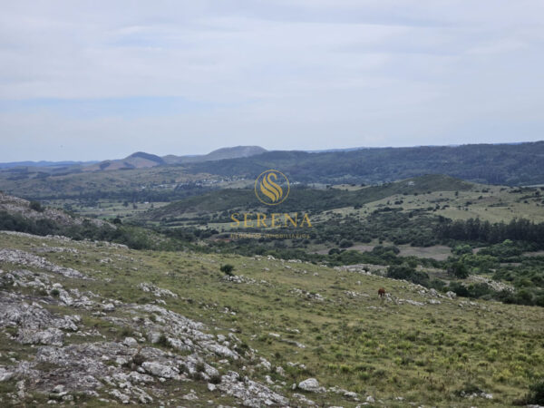 Casa de campo en Minas - Imagen 20