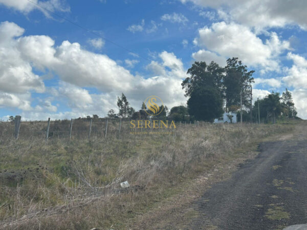Chacra en Treinta y Tres - Imagen 6