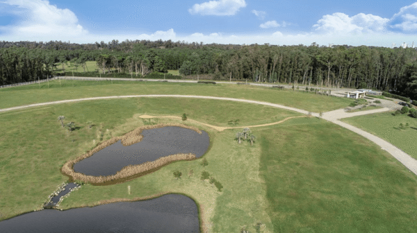 Barrio Privado Caracoles Punta del Este Precios desde USD 35.000 - Imagen 4