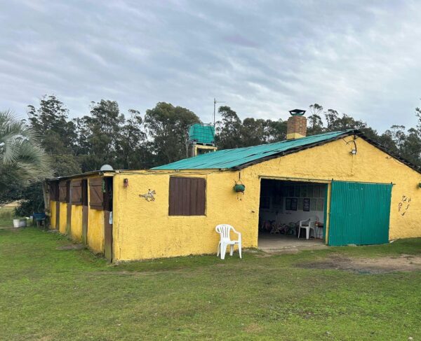 CHACRA IDEAL PARA CRIA DE CABALLOS - Imagen 5