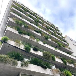 Arbet Punta Carretas 803