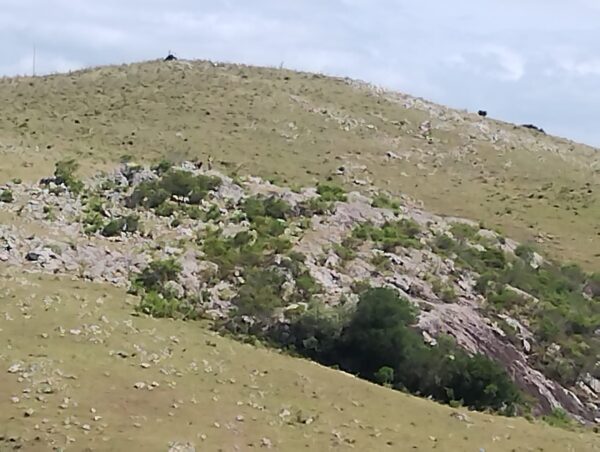 CHACRA 5HÁ EN MINAS - Imagen 3