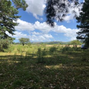 Venta Chacra 7,6há en Abra de Perdomo- Maldonado