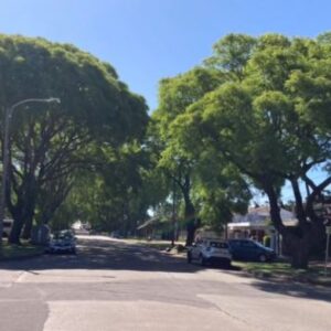 Alquiler De Gran Casa Sobre Av. Bolivia, Ideal Empresa O Emprendimiento