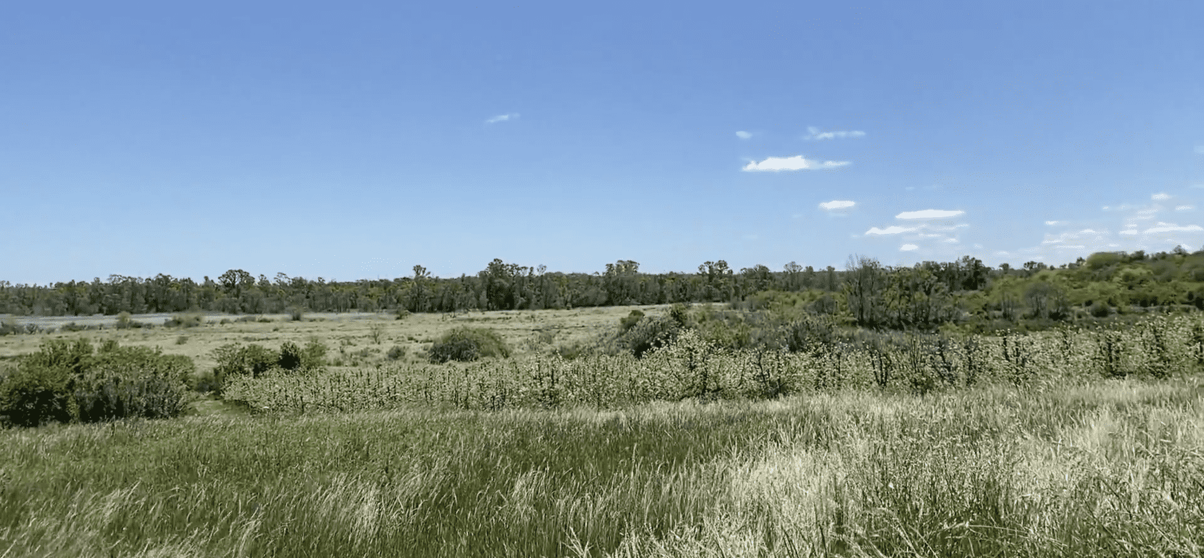 Campo Melilla - 78 Ha - Imagen 11