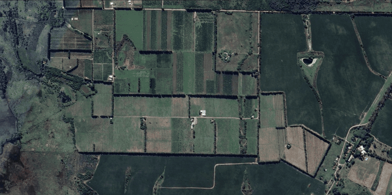 Campo Melilla - 78 Ha - Imagen 12