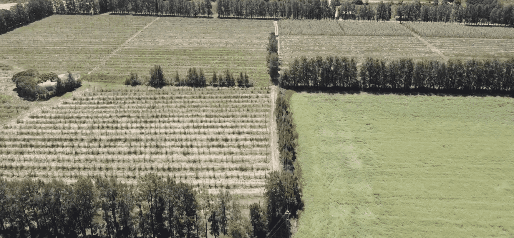 Campo Melilla - 78 Ha - Imagen 10