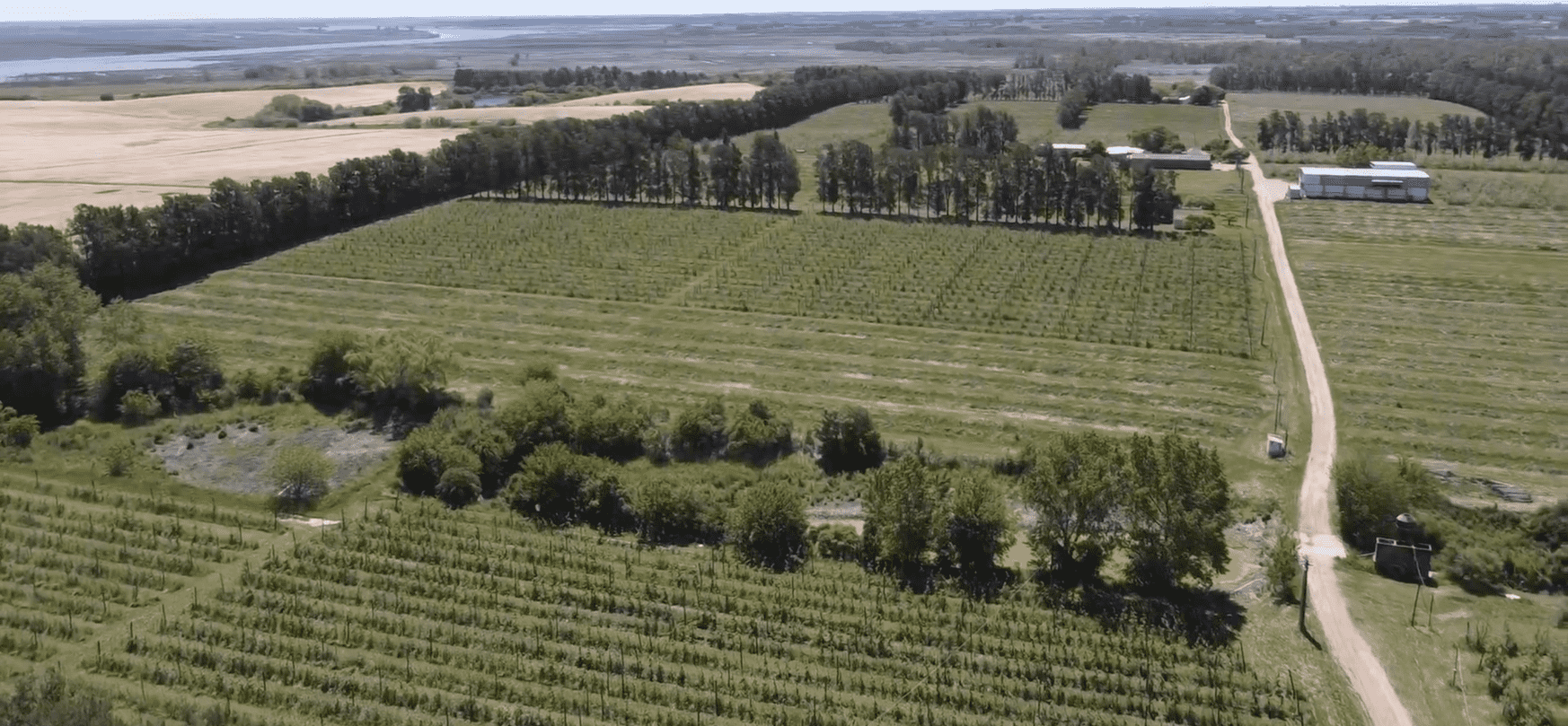 Campo Melilla - 78 Ha