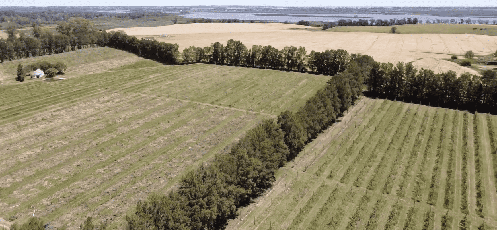 Campo Melilla - 78 Ha - Imagen 8