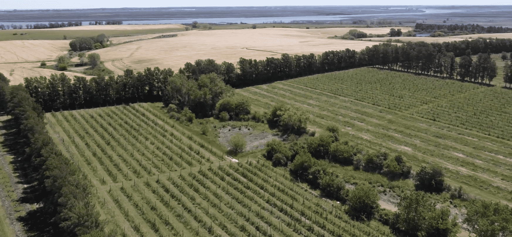 Campo Melilla - 78 Ha - Imagen 7