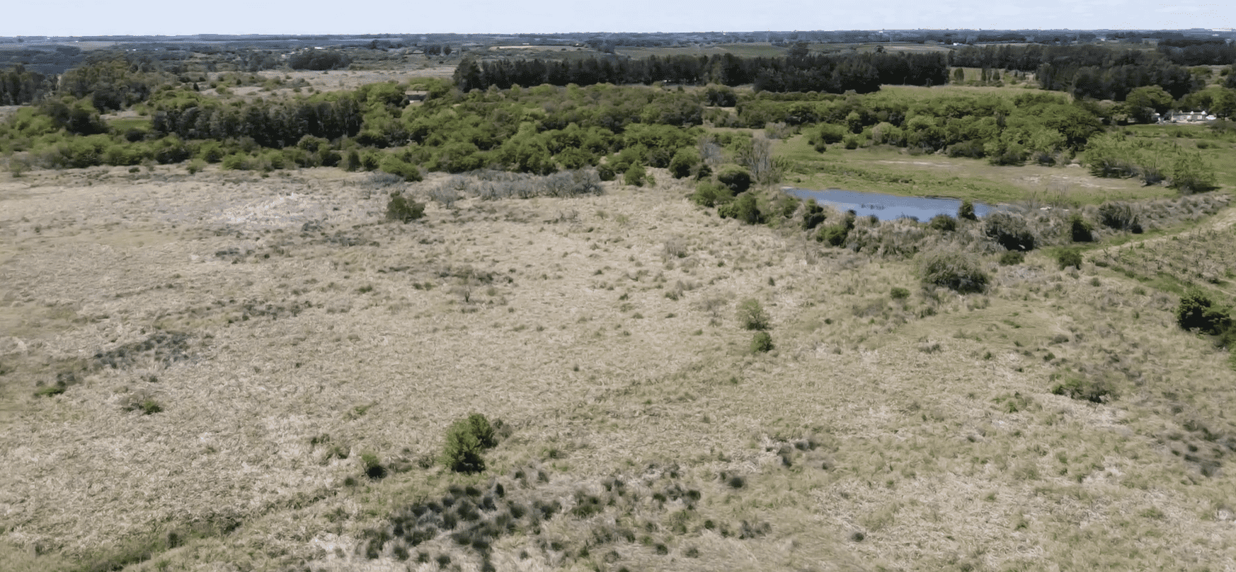 Campo Melilla - 78 Ha - Imagen 6