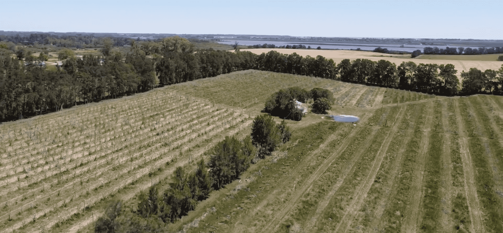 Campo Melilla - 78 Ha - Imagen 5