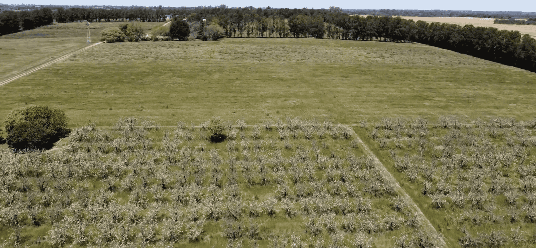 Campo Melilla - 78 Ha - Imagen 3