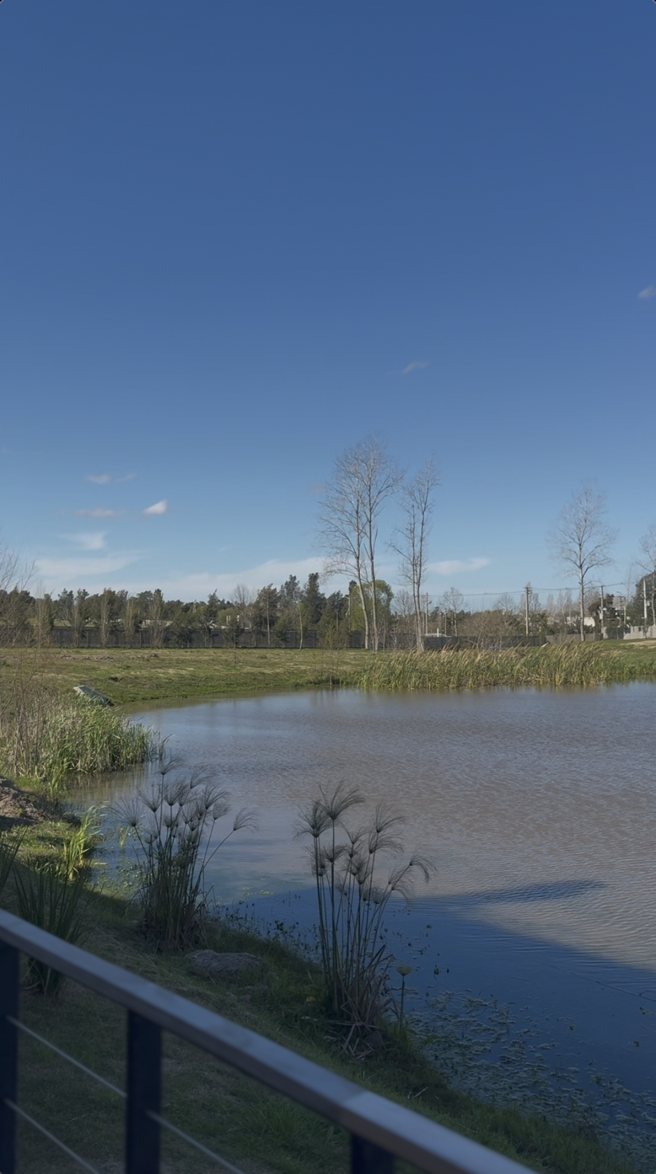 Terreno de 810 m² en venta en Olivos de Los Horneros - Imagen 6